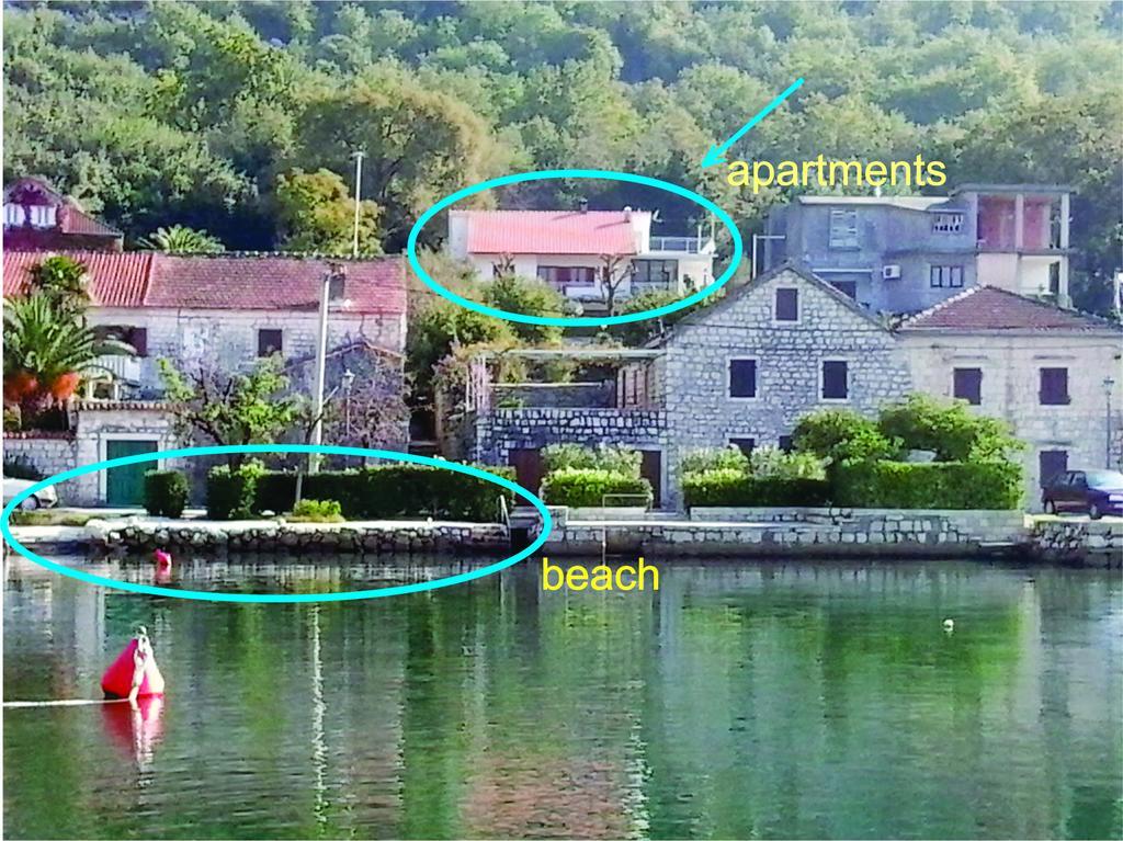Apartment Cizek Kotor Zimmer foto